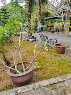 Palm Tian Homes A20 - Ban Chong Phli - 5