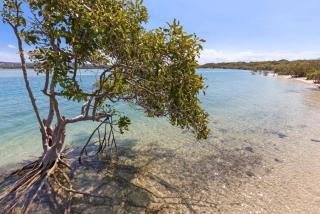 Twin Waters Seaside Resort Life - Twin Waters - 2