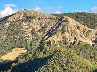Au Mas du Bec Pointu entre DIOIS et PROVENCE - Eygluy - 7