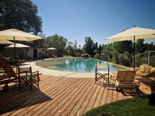 Agriturismo Ai Massi - Casale Marittimo - 5