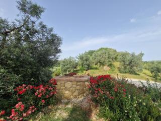 Agriturismo Ai Massi - Casale Marittimo - 6
