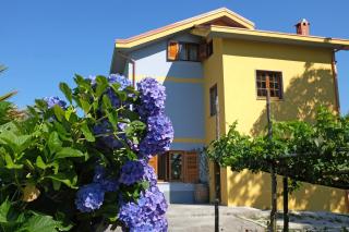 Villa Elisa - 5