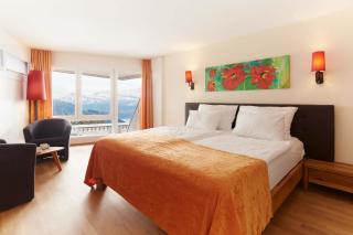 Rigi Kaltbad Swiss Quality Hotel - Rigi Kaltbad - 7