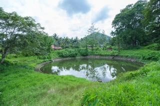 Mystic Trees, Kumily - Thekkady - 2