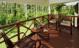 Mystic Trees, Kumily - Thekkady - 8