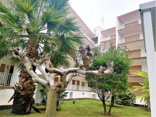 Perfecta ubicación a 80m de la playa, AC, WiFi, terraza y parking en Santa Margarita - ES-258-53 - 5