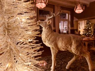 Zum weißen Haus - 2