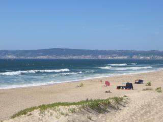 Dream House On The Beach - Figueira da Foz - 5