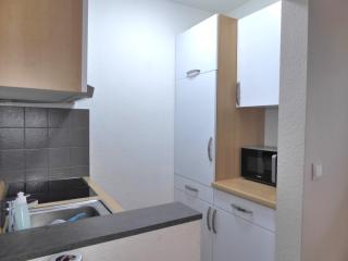 Family Star Winterberg Ferienwohnung 6 Pers Wifi Pool near Bikepark - Winterberg - 3