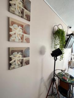 Playa y Descanso Chic - 1