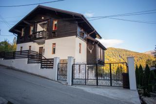 VILLA KYRA LUXURY - Sinaia - 8