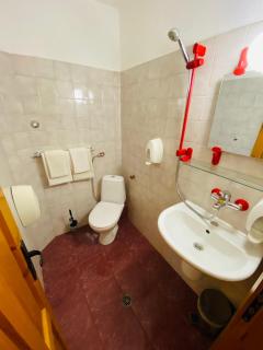 Family Hotel Savov - Chepelare - 5