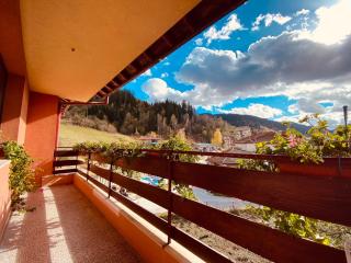 Family Hotel Savov - Chepelare - 9