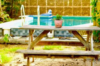 Amarelo Goa - 2