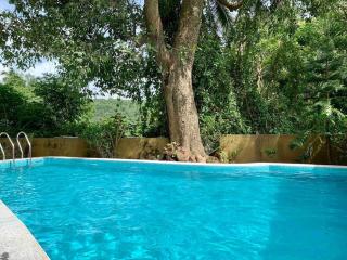 Amarelo Goa - 4