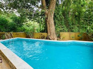 Amarelo Goa - 5