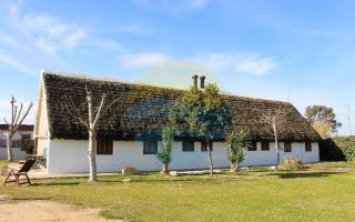 Barraca típica del Delta, con piscina, jardín y barbacoa - Deltavacaciones - Sant Jaume d’Enveja - 7