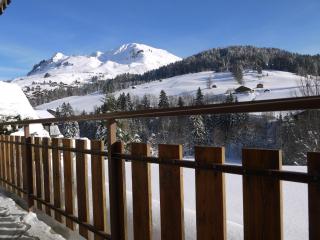 Appartement chaleureux 8 pers avec cheminée, proche pistes ski et navette gratuite - FR-1-467-43 - 2