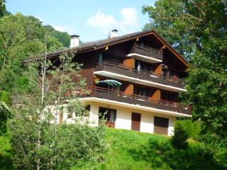 Appartement cosy avec balcon sud, proche pistes ski, animaux admis, parking privé, draps inclus - FR-1-467-113 - Le Grand-Bornand - 2