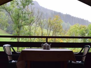 Appartement cosy avec balcon sud, proche pistes ski, animaux admis, parking privé, draps inclus - FR-1-467-113 - Le Grand-Bornand - 3