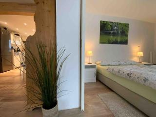 Ferienwohnung in Stegen bei Freiburg, Schwarzwald - 4