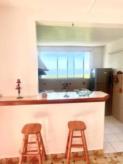 L'appartement SAPOTILLE - 3