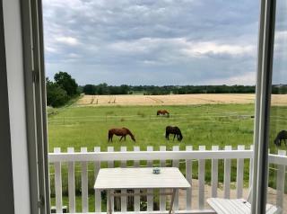 Ferienwohnung Traumblick -  - 7