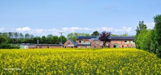 Ferienwohnung „Backhuus“ - Hof Mühlenkoppel - Hasselberg - 4