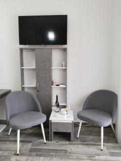 Apartman Harmony 1 - Banja Koviljača - 3