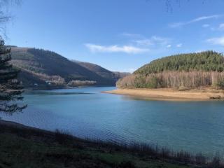 LA PETITE BRIQUE - Stavelot - 6