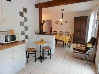 Gite de la mousque - Castets - 4