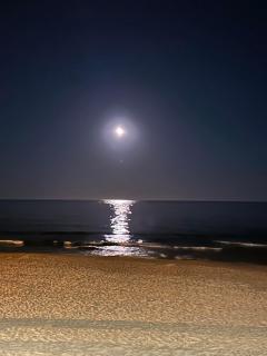 Blue Heaven - Torrevieja - 9
