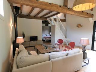 Les ecuries du chateau - Biaudos - 6