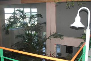 Appartement T2 - Face à la plage des Minimes - 5