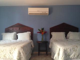 La Delphina Bed and Breakfast Bar and Grill - La Ceiba - 1