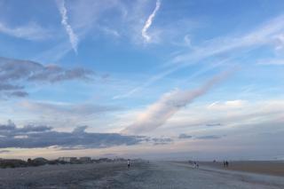 'Sea- Esta' Winds 209 - Siesta Key - 2