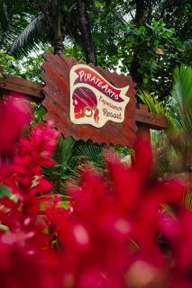 TropicalArts Resort&Studios - Bocas del Toro - 5