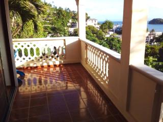 The Beauty of samana - Santa Bárbara de Samaná - 5
