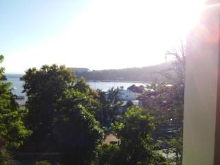 The Beauty of samana - Santa Bárbara de Samaná - 4