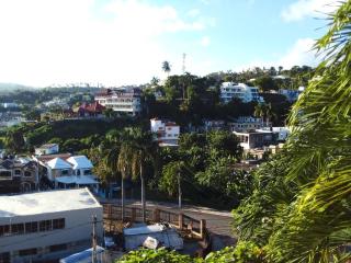 The Beauty of samana - Santa Bárbara de Samaná - 2