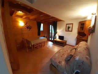 Charmant T2 Montagne, Balcon, Proche Pistes - Pralognan-la-Vanoise - FR-1-464-4 - Pralognan-la-Vanoise - 4