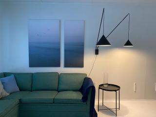 Gardermoen House - 3