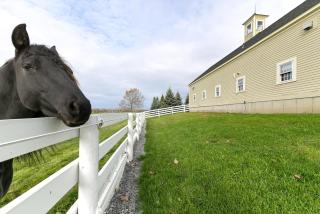 Unique Finger Lakes Converted Horse Barn with Patio! - Rushville - 9
