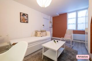 Cosy studio in central Toulouse - 8