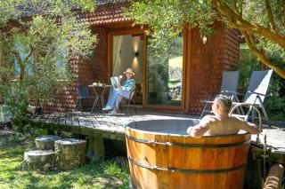 Hotel y Termas Huife - Termas De Huife - 0