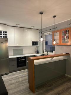 Apartament Aviator - Danzig - 1
