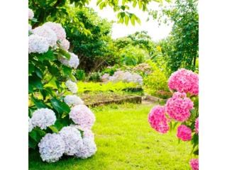 Business INN Umesaki - Vacation STAY 63389v - Nagasu - 1