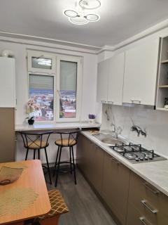 Panoramic Central Apartment - Piatra Neamţ - 8