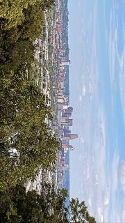 Downtown Skyline View- Cincinnati - Cincinnati - 2
