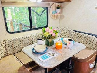Secluded RV with private hot tub - Rutherfordton - 5